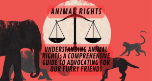Understanding Animal Rights: A Comprehensive Guide to Advocating for Our Furry Friends