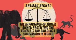 The Importance of Animal Rights: Protecting the Voiceless and Building a Compassionate World