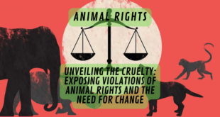 Unveiling the Cruelty: Exposing Violations of Animal Rights and the Need for Change