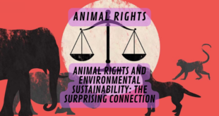 Animal Rights and Environmental Sustainability: The Surprising Connection