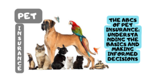 The ABCs of Pet Insurance: Understanding the Basics and Making Informed Decisions