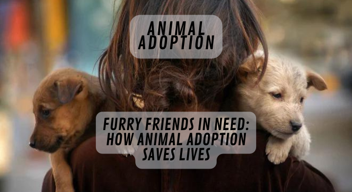 Furry Friends in Need: How Animal Adoption Saves Lives
